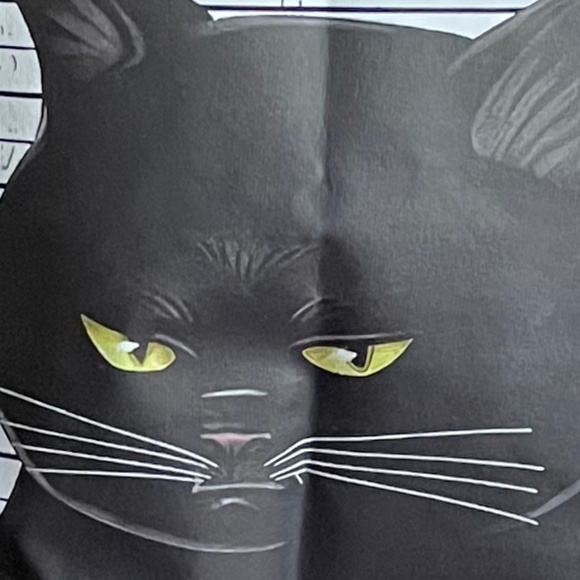 NWOT  Dear Lord Give Me Patience -  Black Cat T-Shirt (Large) - Picture 5 of 7